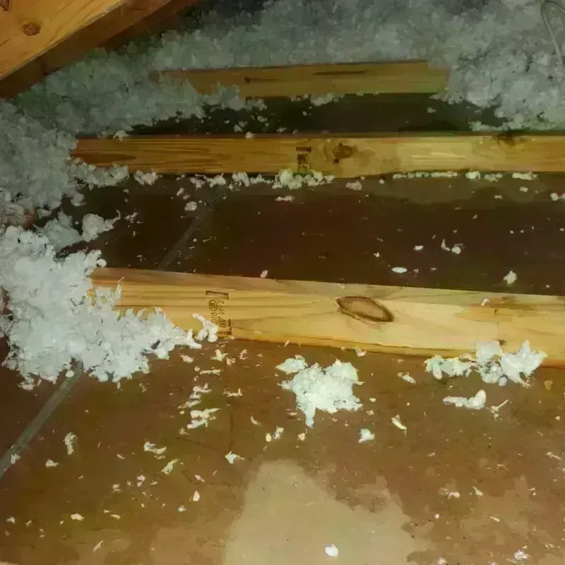 Attic Water Damage in The Village, OK